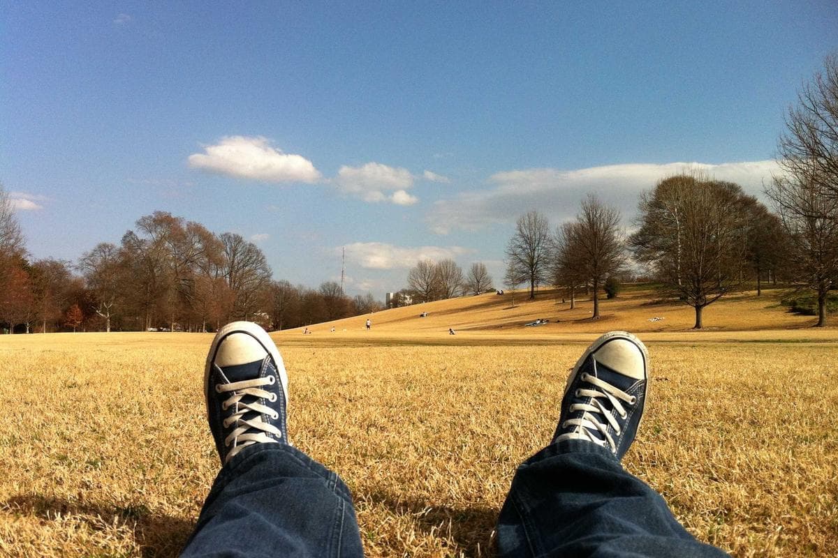 Exceptional 0 bed studio in Rathgar