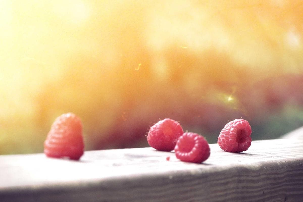 Modern 4 bedroom apartment – Dunleer